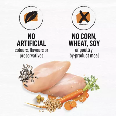 Product Beyond Simply Dry Dog Food - Farm-Raised Chicken & Whole Barley Recipe