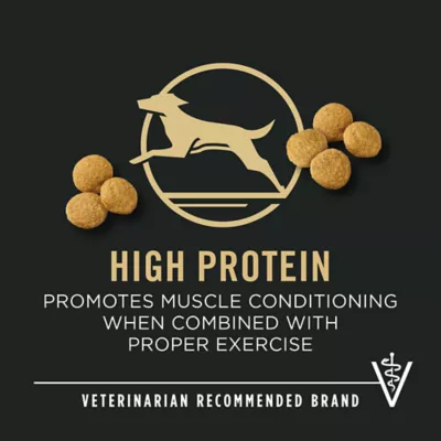 Product Purina® Pro Plan Large Breed Adult Dry Dog Food - Chicken & Rice