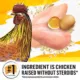 Product Beyond Dry Cat Food - Chicken & Whole Oat Meal Recipe