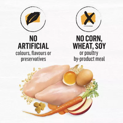 Product Beyond Dry Cat Food - Chicken & Whole Oat Meal Recipe