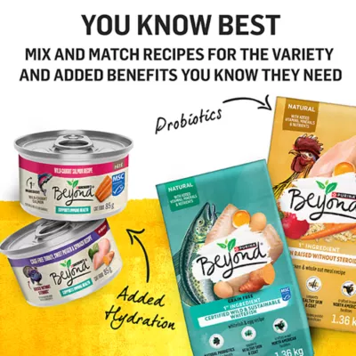 Product Beyond Dry Cat Food - Chicken & Whole Oat Meal Recipe