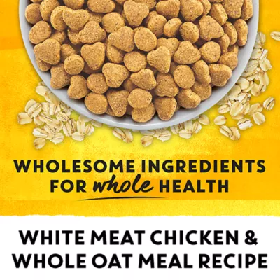 Product Beyond Dry Cat Food - Chicken & Whole Oat Meal Recipe
