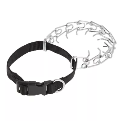 Product Top Paw® Buckle Prong Training Dog Collar