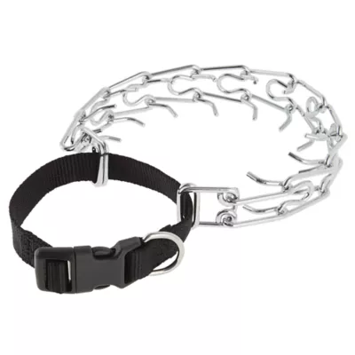 Product Top Paw® Buckle Prong Training Dog Collar
