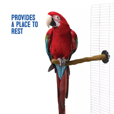 Product All Living Things® Orthopedic Sand Bird Perch