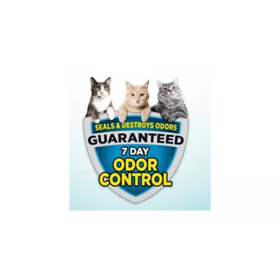 Product Arm & Hammer™ Clump & Seal Cloud Control Clumping Multi-Cat Clay Cat Litter - Scented, Low Dus