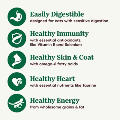 Product Nutro Wholesome Essentials ™ Sensitive Adult Dry Cat Food - Non-GMO, Natural, Chicken, Rice &