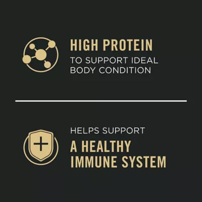 Product Purina Pro Plan Complete Essentials Adult Wet Dog Food - Grain Free, Beef & Chicken, 13 oz