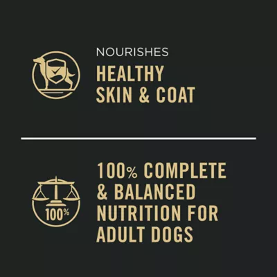 Product Purina Pro Plan Complete Essentials Adult Wet Dog Food - Grain Free, Beef & Chicken, 13 oz