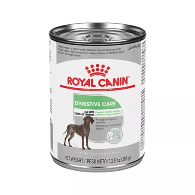 Product Royal Canin Canine Care Nutrition Digestive Care Adult Wet Dog Food - 13.5 oz