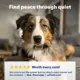 Product PetSafe® Bark Control Collar - Waterproof Basic Bark Control Collar for Dogs 8 lb +