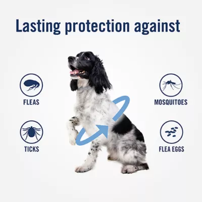 Product PetArmor® Plus Flea & Tick Collar for Dogs - 2 Count