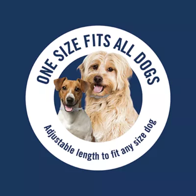 Product PetArmor® Plus Flea & Tick Collar for Dogs - 2 Count