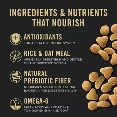 Product Purina Pro Plan Focus  Adult Dry Cat Food - Prebiotics & Probiotics, Turkey & Oat Meal