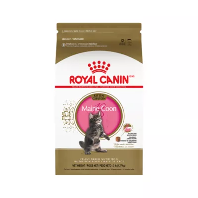 Product Royal Canin® Feline Breed Nutrition Maine Coon Breed Kitten Dry Cat Food
