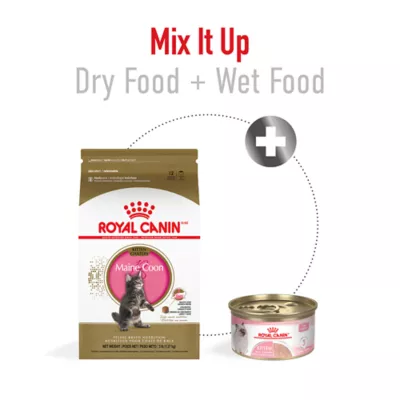 Product Royal Canin® Feline Breed Nutrition Maine Coon Breed Kitten Dry Cat Food