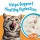 Product Purina® Friskies® Lil' Soups® Cat Food Complement - 1.2oz