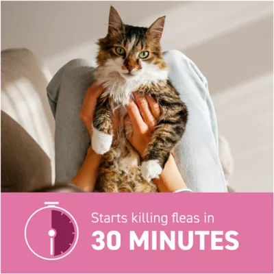Product Capstar™ 2-25 Lb Cat Flea Treatment
