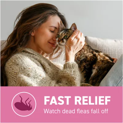 Product Capstar™ 2-25 Lb Cat Flea Treatment