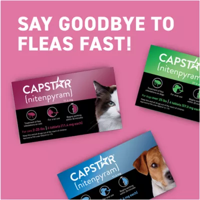 Product Capstar™ 2-25 Lb Cat Flea Treatment
