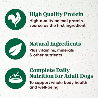 Product NUTRO ULTRA™ Adult Wet Dog Food - Pate, 12 Count
