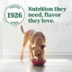 Product NUTRO ULTRA™ Adult Wet Dog Food - Pate, 12 Count