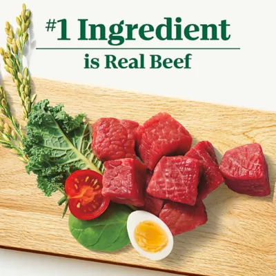 Product Nutro Natural Choice™ Adult Dry Dog Food - Beef & Brown Rice
