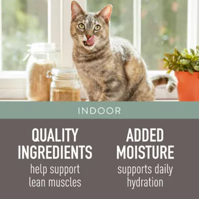 Product Simply Nourish® Indoor Adult Pate Wet Cat Food - Natural, Grain Free