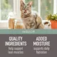 Product Simply Nourish® Indoor Adult Pate Wet Cat Food - Natural, Grain Free