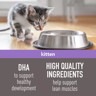 Product Simply Nourish® Original Kitten Cat Dry Food - Chicken & Rice, Natural, With-Grain