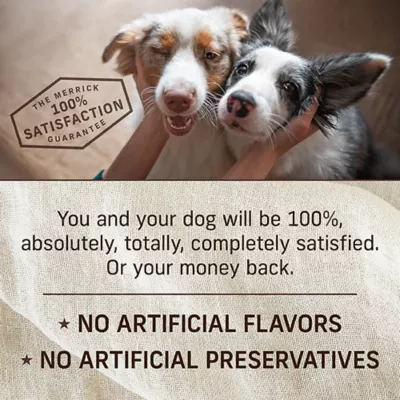 Product Merrick® Grain Free Puppy Plate Wet Dog Food - 12.7 oz