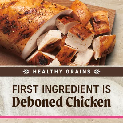 Product Merrick® Healthy Grains® Small Breed Adult Dry Dog Food - Natural, Chicken & Brown Rice