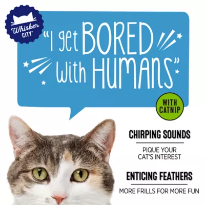 Product Whisker City® Spring Swatter Chirping Cat Toy - Catnip