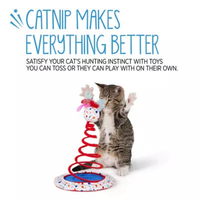 Product Whisker City® Spring Swatter Chirping Cat Toy - Catnip