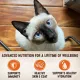 Product Wellness® CORE® Tiny Tasters Adult Cat Wet Food - Grain Free, Pate, Single Serve, 1.75 Oz