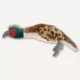 Product Joyhound® Crazy Comfy Realistic Pheasant Dog Toy - Plush, Squeaker