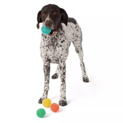 Product Joyhound® Spikey Ball Dog Toys - 4 Pack