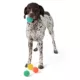 Product Joyhound® Spikey Ball Dog Toys - 4 Pack