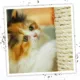 Product Meowijuana® Catnip Oil Spray