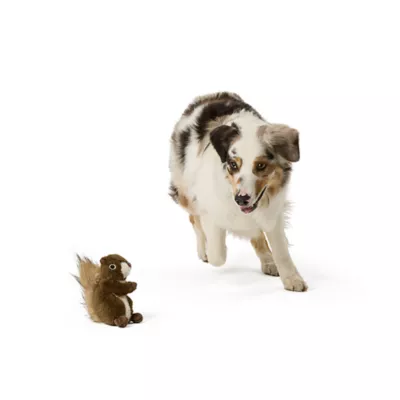 Product Joyhound® Crazy Comfy Realistic Squirrel Dog Toy - Plush, Squirrel