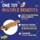 Product Joyhound® Crazy Comfy Realistic Fox Flattie Dog Toy - Crinkle, Squeaker