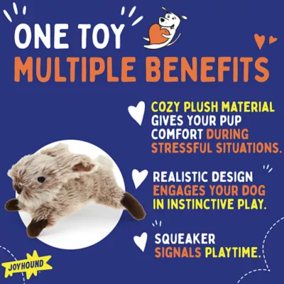 Product Joyhound® Crazy Comfy Realistic Rabbit Dog Toy - Plush, Squeaker