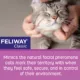 Product Feliway® Classic Diffuser Refills