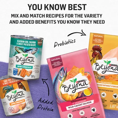 Product Beyond Grain Free Wet Dog Food, Ground Entrée Variety Pack, 368 g x 6