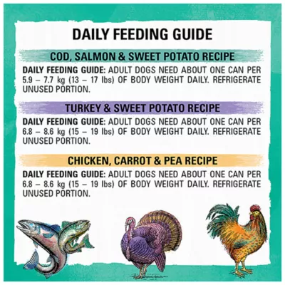 Product Beyond Grain Free Wet Dog Food, Ground Entrée Variety Pack, 368 g x 6