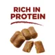Product Purina ONE True Instinct Dog Treat Bites
