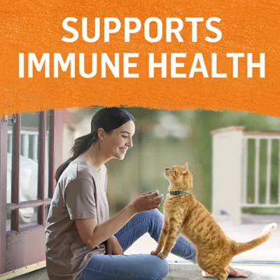 Product Beyond Adult Wet Cat Food Grain Free Pâté Variety Pack 3 Flavours, 85 g x 12