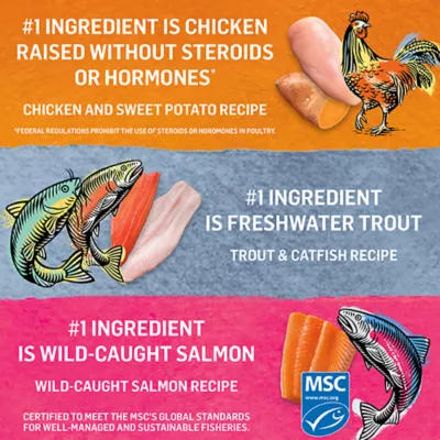 Product Beyond Adult Wet Cat Food Grain Free Pâté Variety Pack 3 Flavours, 85 g x 12