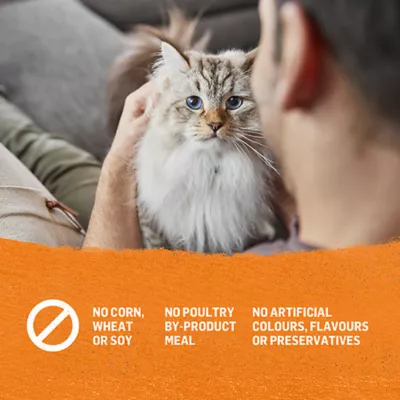 Product Beyond Adult Wet Cat Food Grain Free Pâté Variety Pack 3 Flavours, 85 g x 12