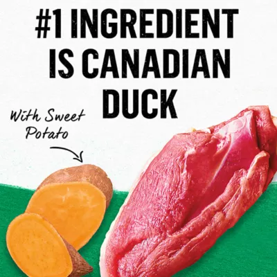 Product Beyond Adult Wet Cat Food Pâté - Canadian Duck & Sweet Potato Recipe, 85 g